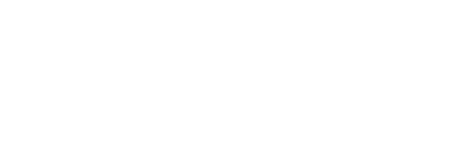 Ledgerfx Investment logo White